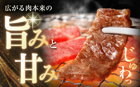 長崎和牛 バラ霜降焼肉用 約500g×2P 約1kg / 霜降り 霜降 バラ 焼肉 牛 ブランド牛 和牛 / 大村市 / まるしん商会[ACCD017]