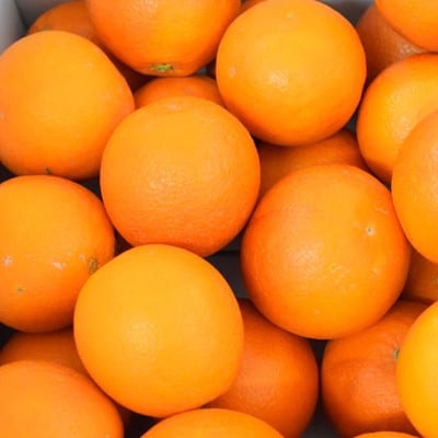 【希少・高級柑橘】国産濃厚ブラッドオレンジ「タロッコ種」約3kg(上富田町)