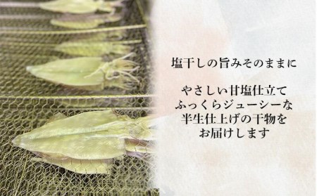 【価格改定予定】干物 アジ サバ 金目鯛 一人前ひもの 真空パック 2切 6パック 食べやすい お手軽 塩 醤油