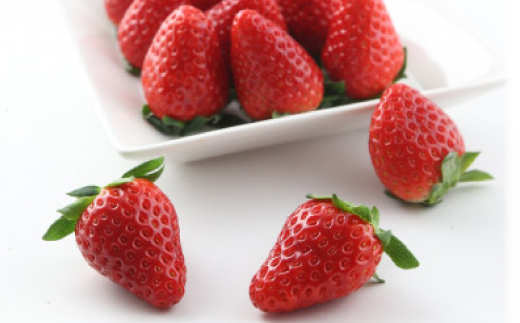 紅ほっぺ・きらぴ香食べ比べセット(各4パック　計8パック)【配送不可地域：離島・北海道・沖縄県・四国・九州】