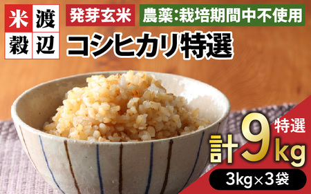 【令和6年産・新米】発芽玄米 コシヒカリ「特選」特別栽培米使用 3kg×3袋（計9kg）【米 こしひかり 玄米 ギャバ GABA 特別栽培 食物繊維 栄養 真空パック ごはん ご飯 おいしい ふるさと納税米】 [C-2920]