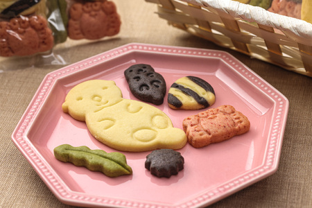 はまなかのせかえ　ラッコクッキーセット　クッキー 10個 セット ココア 抹茶 はまなかのせかえ ラッコ 焼き菓子 お菓子 おやつ 手土産 贈答 ギフト プレゼント 個包装 北海道 浜中町 霧多布岬 