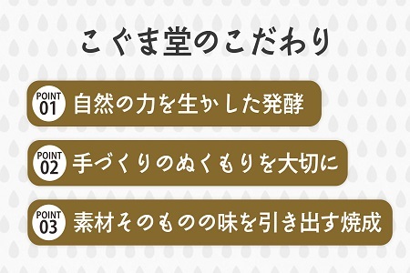 【定期便】塩こうじクッキー（5枚入×2袋）×1セット×全6回【焼き菓子】塩こうじ アレルギー対応 おやつ 植物性素材 卵不使用 乳不使用 プラントベースフード お取り寄せ 手作り 朝食 手土産 ギフト