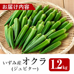 先行予約 2026年7月下旬～10月下旬の間に発送予定 いずみ産 オクラ 新たな品種・ジュピター 1.2kg 【イーサイドライン】 i1216-B