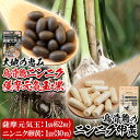 【ふるさと納税】烏骨鶏の元気玉セット(薩摩元気玉・黒/1袋(62粒)・烏骨鶏のニンニク卵黄/1袋(30粒)) 国産 鹿児島県産 卵 自社農場 有機栽培 オーガニック にんにく 大蒜 黒酢もろみ 健康 食品 サプリメント カプセル 飲み比べ お試し 贈答品 ギフト【健康クラブ】