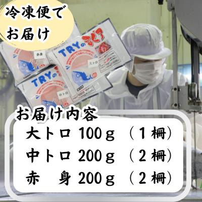 ふるさと納税 静岡市 【天然】　本鮪　大トロ100g　中トロ200g　赤身200g　セット　合計500g |  | 02