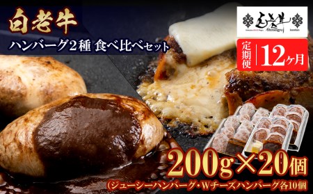 定期便12カ月 お楽しみ 白老牛 2種 食べ比べ ハンバーグ セット 合計20個 BY111