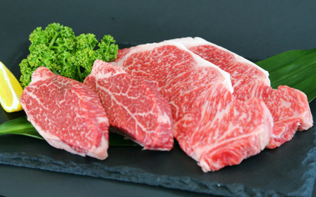 【但馬牛 サーロインステーキ150g×2 ヒレステーキ150g×2 合計600ｇ 経産但馬牛 冷凍 産地直送】黒毛和牛のルーツ 但馬牛 牛肉 ステーキ しゃぶしゃぶ すき焼き 焼肉 和牛 但馬 神戸 