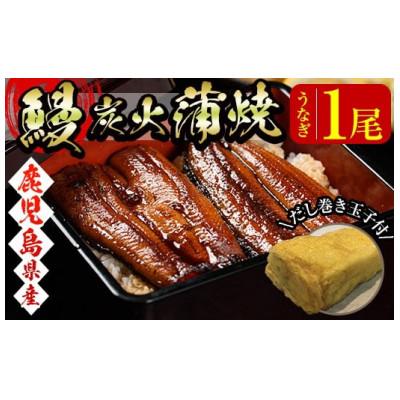 ふるさと納税 日置市 うなぎの炭火蒲焼(1尾・タレ付)自慢の出汁巻き卵付き!