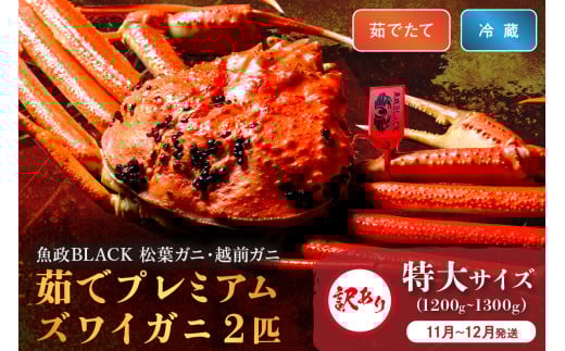 訳あり　【蟹の匠 魚政】茹で　プレミアムズワイガニ 魚政BLACK（松葉ガニ・越前ガニ） 特大サイズ（1200～1300g） 2匹セット【11月～12月発送：平日】　松葉蟹 蟹 かに カニ ガニ がに ボイル まるごと 海産物 海鮮 魚介 魚介類 甲殻類 海の幸 小 京都 京丹後 京丹後市 ふるさと納税 蟹 送料無料　UO01324