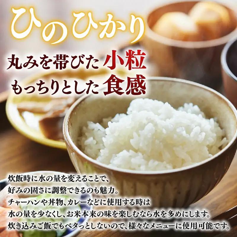 定期便 ヒノヒカリ 白米 10kg×10回