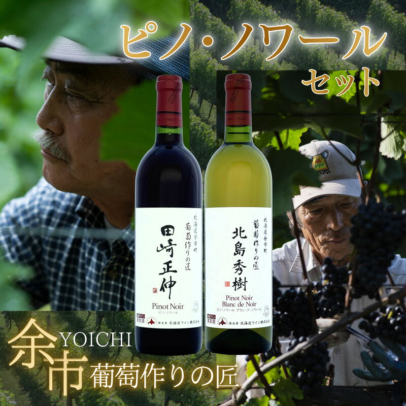 【ふるさと納税】北海道ワイン 余市 葡萄作りの匠 ピノ・ノワール セット 750ml × 2本 専用箱入り 田崎正伸 北島秀樹 赤ワイン 白ワイン ブラン・ド・ノワール GI北海道 明るいルビー色 チェリーやイチゴのような赤い果実の香り 程よい酸味 贈り物 北海道 余市町 送料無料