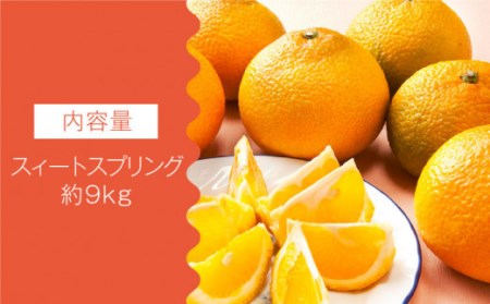 【数量限定】甘くてジューシーな果実 スィートスプリング 約9kg【長崎ぶんたんの会 】[OAF007] / 柑橘みかん柑橘みかん柑橘みかん柑橘みかん柑橘みかん柑橘みかん