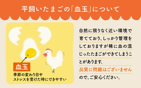 【3回定期便】 平飼い しあわせ たまご 40個＜松本養鶏場＞ [CCD024] 卵