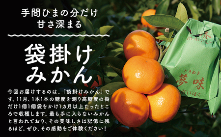 袋掛け みかん 3kg 松本果樹園 《2027年1月中旬-1月末頃出荷》 熊本県 苓北町 スイーツ デザート 果物 ミカン 蜜柑
