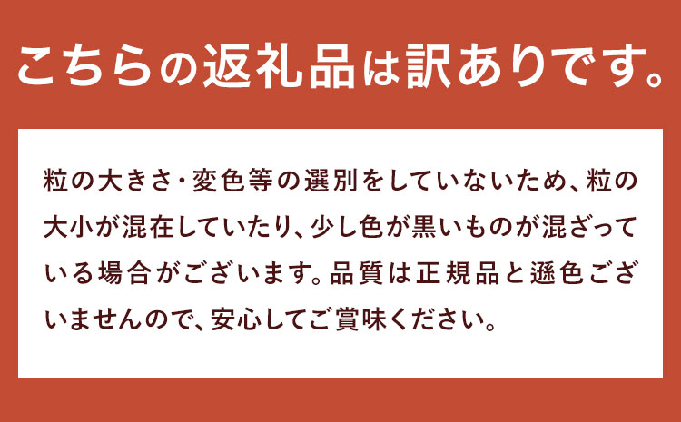 訳あり しそ漬け梅干し 350g×2箱 定期便 連続 3回  農事組合法人 梅香丘《お申込み翌月から出荷》鹿児島県 さつま町 うめぼし 紫蘇 お取り寄せ プレゼント