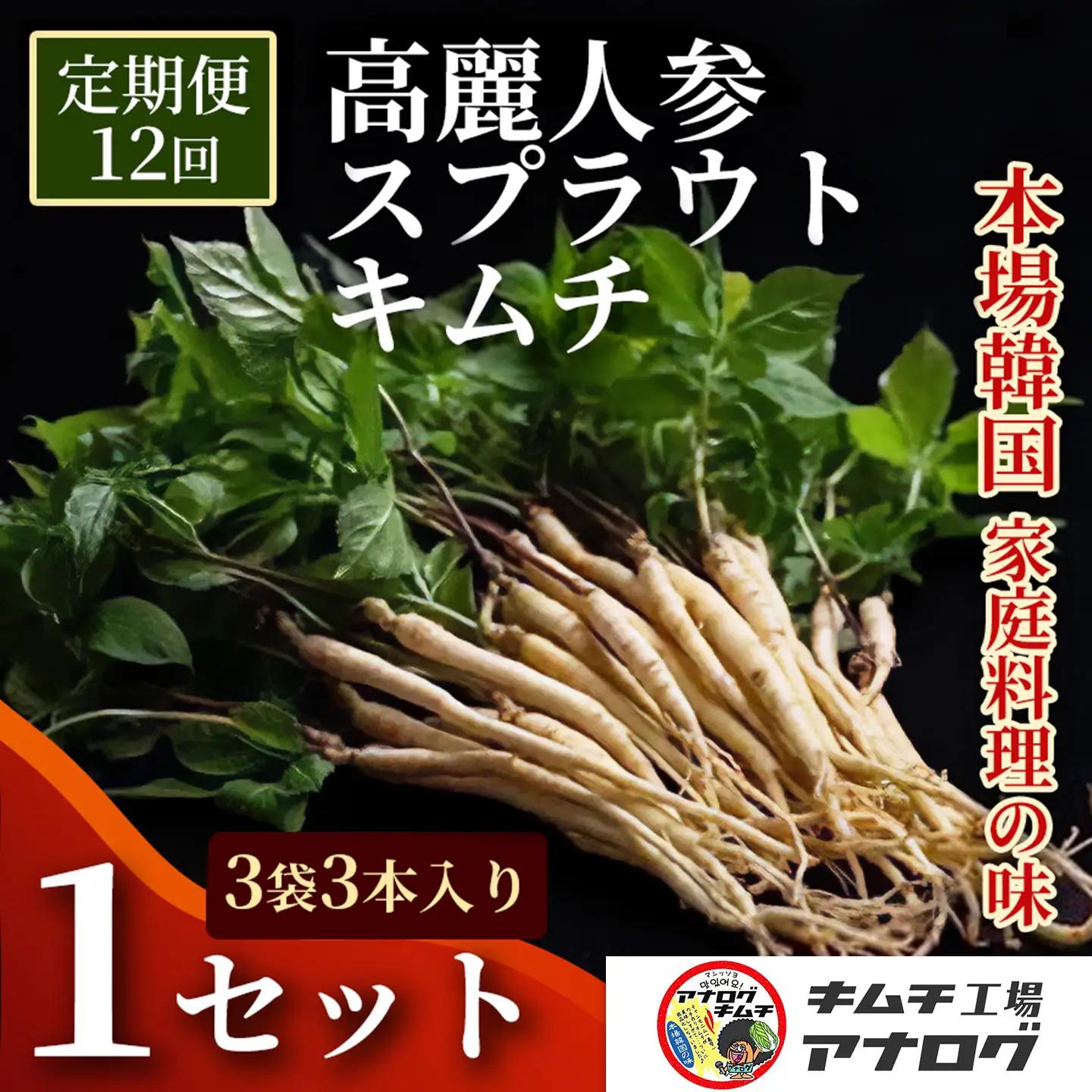 【12カ月定期便】熟成秘伝の高麗人参スプラウトキムチ(1本入り×3袋)(H104195)