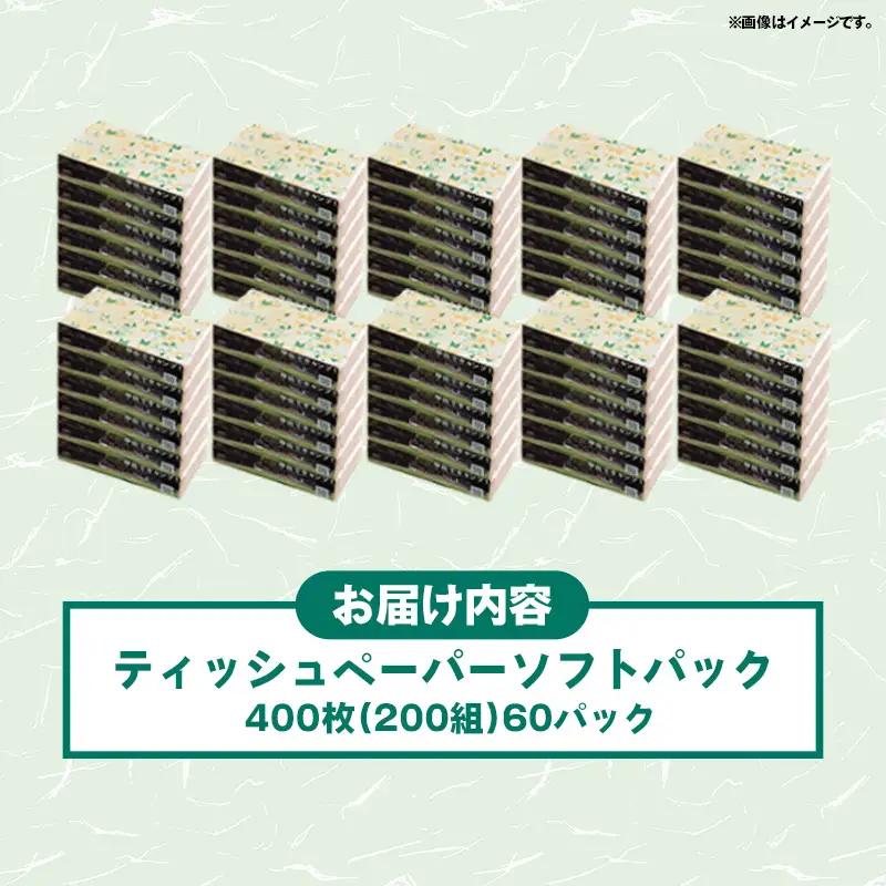 ティッシュペーパーソフトパック　４００枚（２００組）６０パック -  ティッシュ ペーパー 日用品  備蓄 防災 ストック 熊本県 甲佐町【ZC】【価格改定XA】