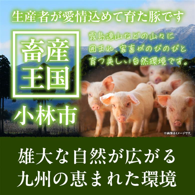 【選べる容量】【工場直送】九州産豚バラ スライス 2.4kg（ 国産 豚 豚肉 豚バラ しゃぶしゃぶ 小分け バラ 大容量 冷凍 ） 2.4kg
