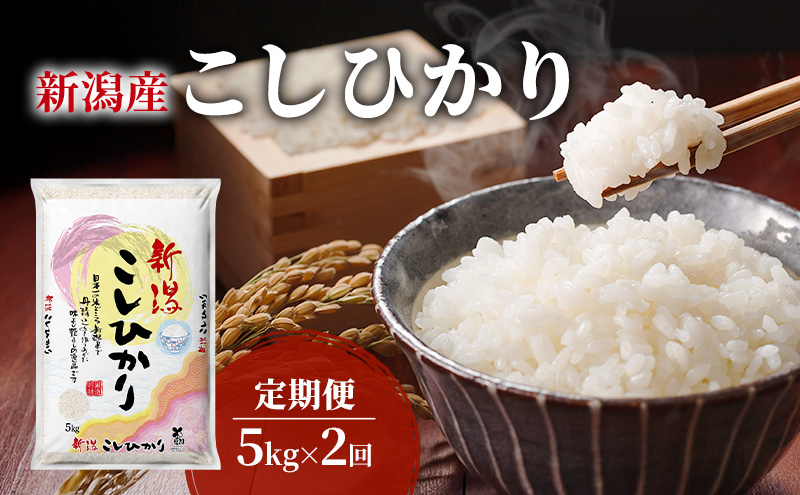 【定期便 2ヶ月】新潟県産 コシヒカリ 5kg×2回 (計10kg) 米 お米 こしひかり 精米 白米 定期便 新潟市