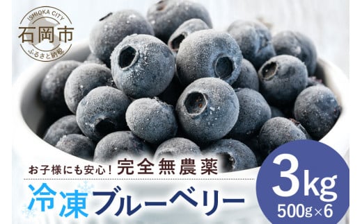 元気に育ったブルーベリー 3kg 冷凍 ( 500g 6パック ) 農薬 栽培期間中 不使用 果物 フルーツ 3キロ 手摘み 急速冷凍 国産 産地直送 農家直送 産直 夏 7月 以降 発送 くだもの スムージー ジャム ヨーグルト デザート 茨城 茨城県 石岡市 (A11-007)