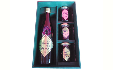 農薬不使用の自然農園 紫屋の 【ブルーベリージュース＆ジャム】 詰合せ　S12-09 　