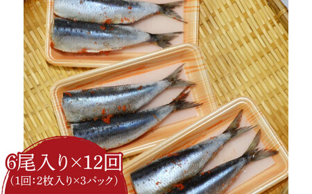 【全12回定期便】ピリ辛 いわし明太6尾 [ABCJ077] 