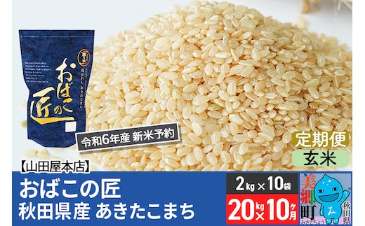 
										
										【玄米】＜令和6年産 新米予約＞《定期便10ヶ月》おばこの匠 秋田県産あきたこまち 20kg×10回 計200kg 10か月 10ヵ月 10カ月 10ケ月 秋田こまち お米
									