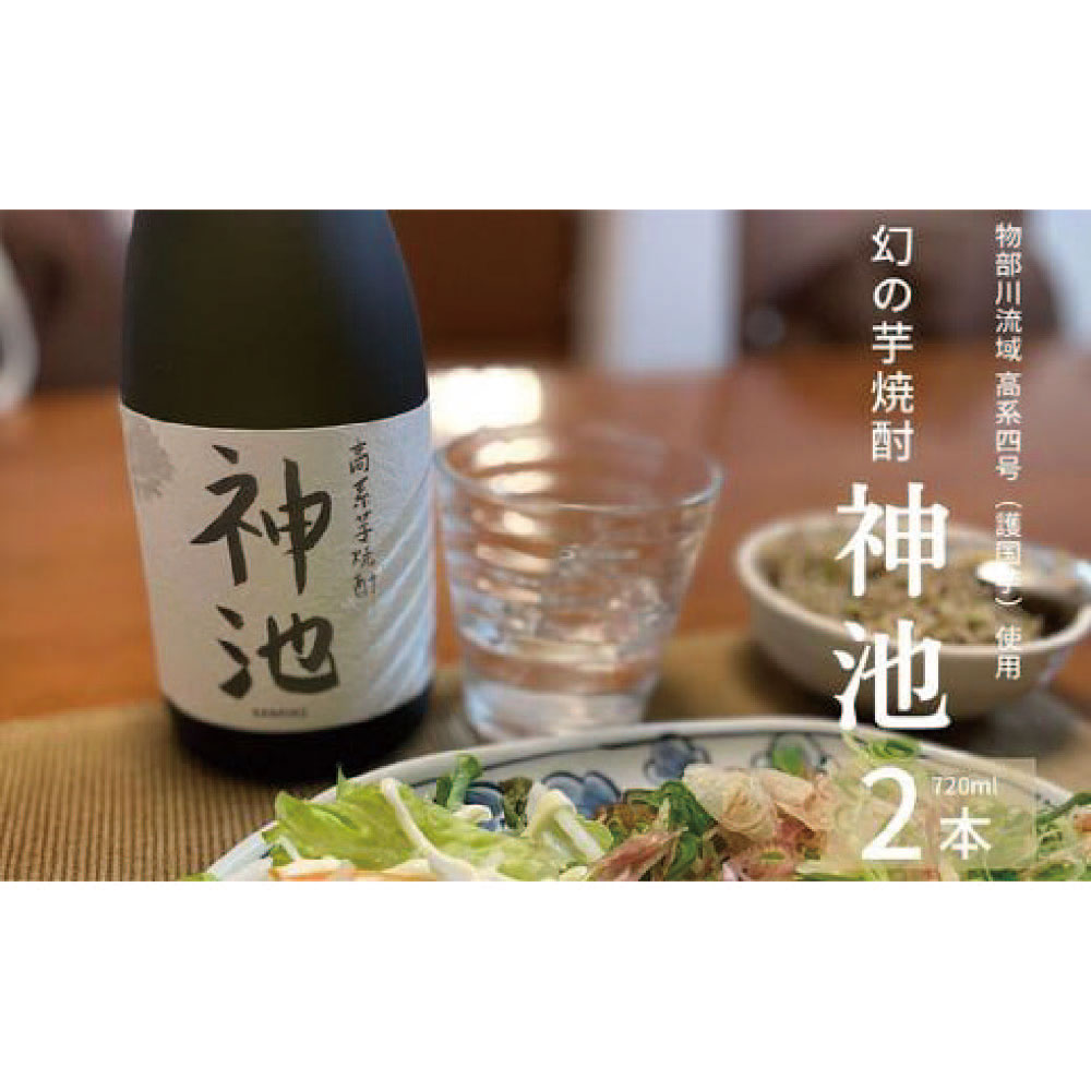 【ふるさと納税】高系芋焼酎 神池 25度 720ml 2本入
