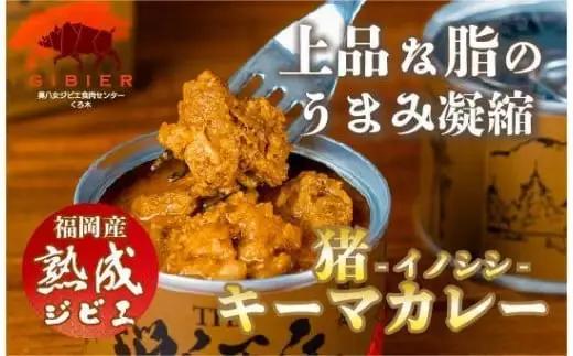 猟師缶（熟成猪肉のキーマカレー）×2缶　155-003