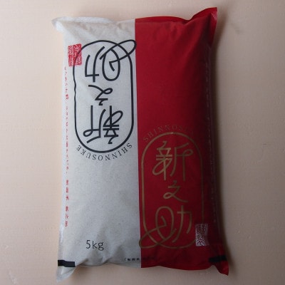 【毎月定期便】新潟県産 新之助 5kg全9回【4084186】