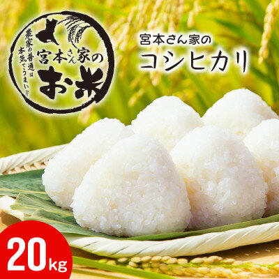 【ふるさと納税】〈令和7年産〉茨城県稲敷市産コシヒカリ 精米20kg(10kg×2袋)【配送不可地域：離島・沖縄県】【1659584】