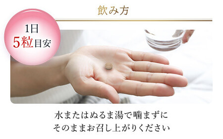 76163_DHC霊芝(れいし) 30日分 2個セット（60日分） MBB058