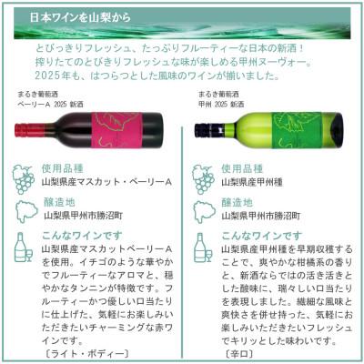 ふるさと納税 山梨県 山梨の新酒 2025 飲み比べ 6本セット |  | 02