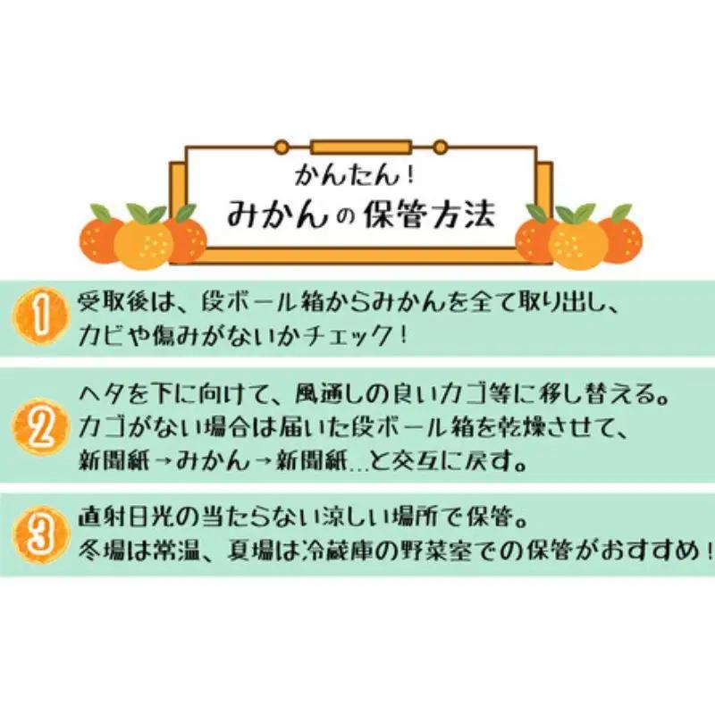 【初秋の美味】ご家庭用ゆら早生有田みかん　約1kg+200g(傷み補償分)【サイズ混合】【2026年10月中旬～11月上旬頃に順次発送予定】　※北海道・沖縄・離島配送不可 / みかん くだもの 果物 
