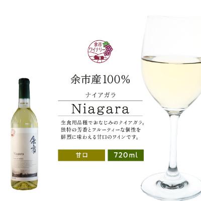 ふるさと納税 余市町 北海道 ワイン ナイアガラ 720ml<余市ワイン>_Y020-0402
