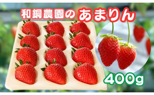 和銅農園のあまりん　400g ／ いちご あまりん 甘い ジューシー 香り高い フルーツ 400g 冷蔵 新鮮 ザート おやつ 高糖度 詰合せ 農園直送 果物 フルーツ 苺 イチゴ ジャムのように香り高い 希少 大粒 厳選 朝採り 平成28年デビュー 埼玉県 特産 No.631