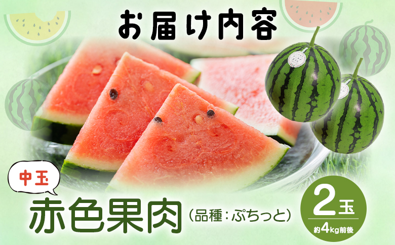 江本農園の初夏のアンテナスイカ2玉 - 数量限定 のし 熨斗 高知県産 果物 くだもの フルーツ すいか 西瓜 スイカ 糖 完熟 甘い 瑞々しい ハウス栽培 ジューシー 果汁 果実 贈り物 贈答 プレ