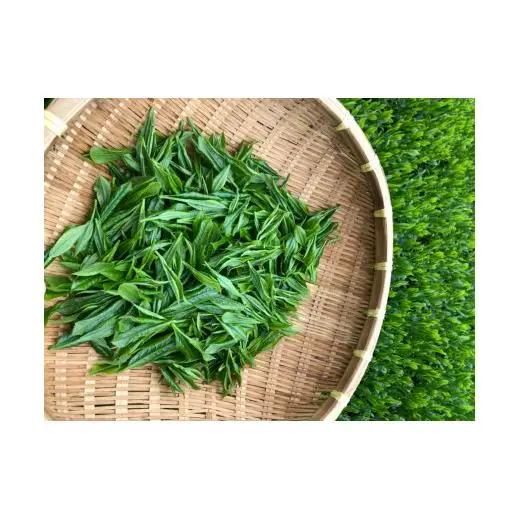 【農林水産大臣賞15回受賞の銘店】世知原茶 ｢芳翠｣｢峰の露｣ 詰め合わせ 500g (100g×5P)【前田製茶】蒸し製玉緑茶 茶葉 日本茶 緑茶
