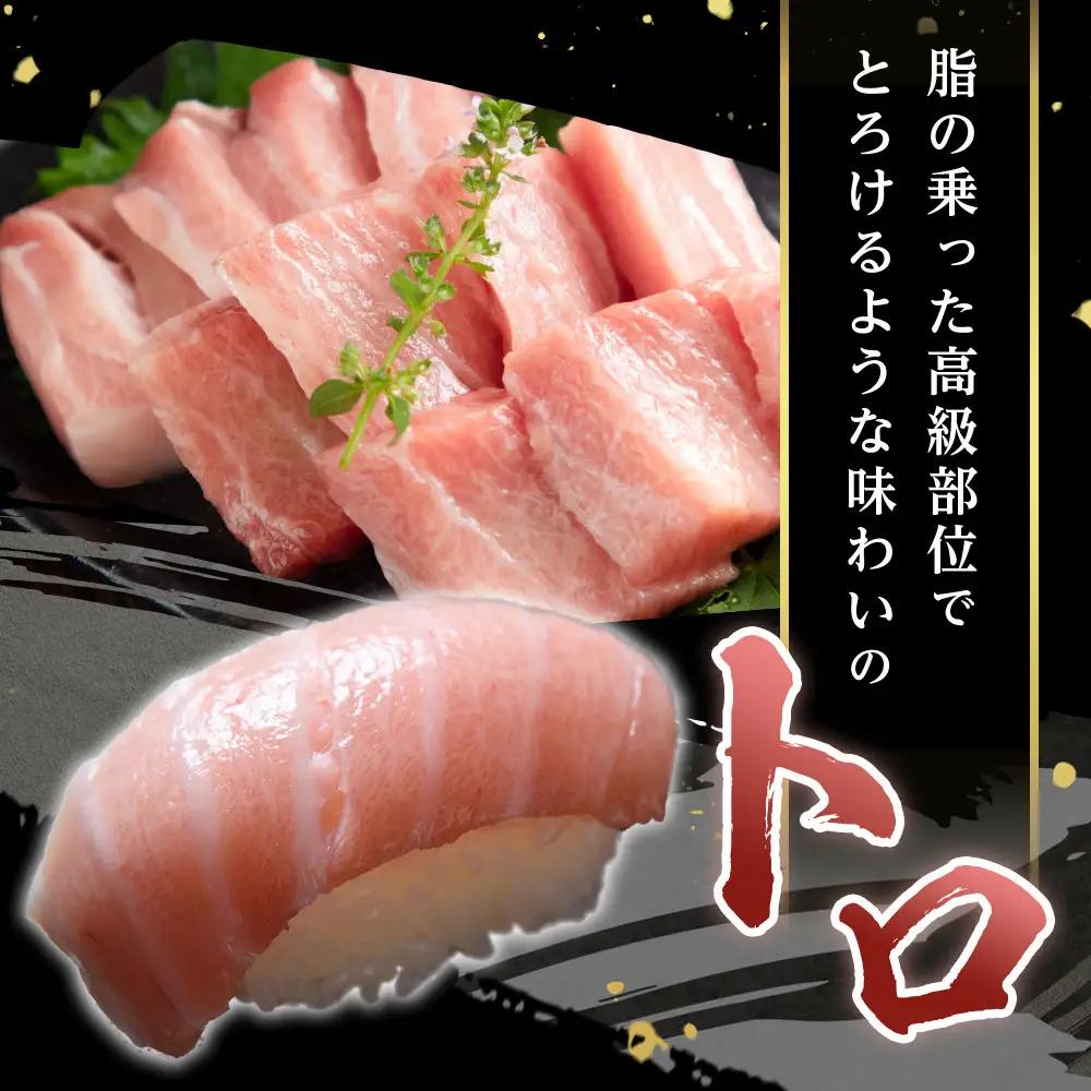 本マグロ トロ+赤身セット 500g | 大トロ 中トロ 鮪 刺身 寿司