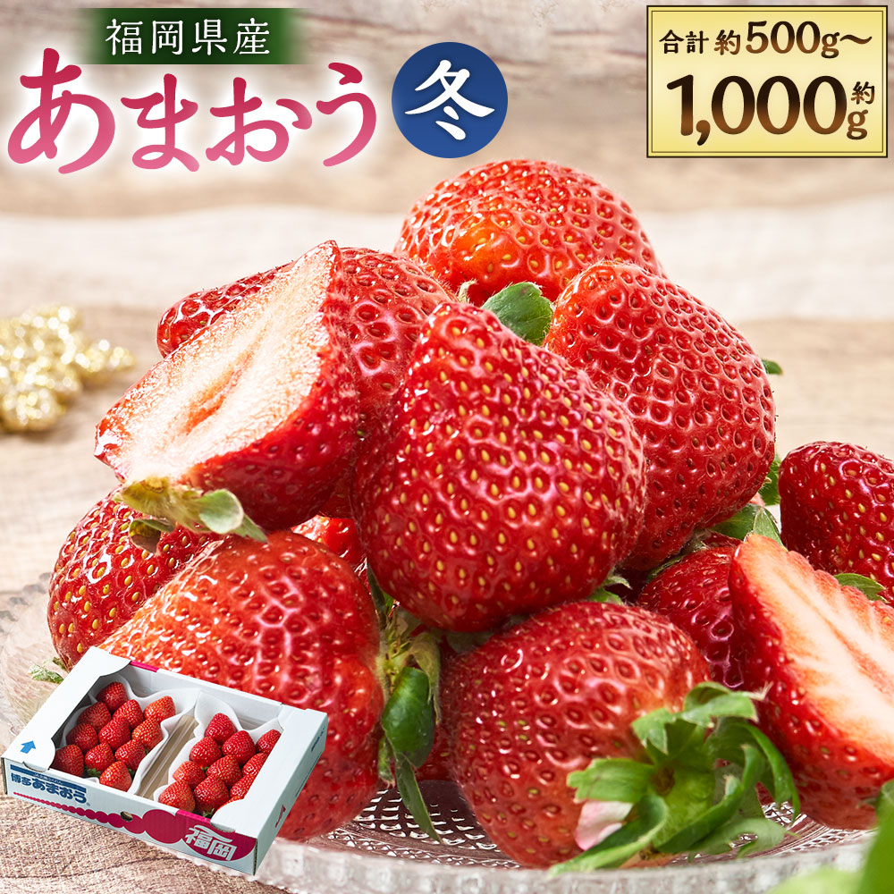 【ふるさと納税】福岡産【冬】あまおう 2パック もしくは 4パック （1パックあたり約250g）いちご イチゴ 苺 ベリー 果物 くだもの フルーツ 冷蔵 国産 九州 福岡県 岡垣町 送料無料 【2026年12月上旬～2027年1月下旬発送予定】