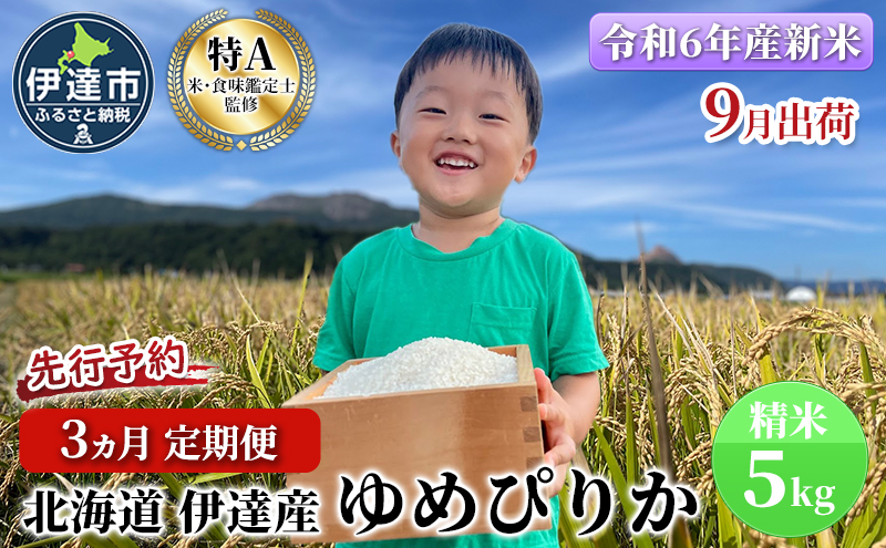 生産者 直送  3ヵ月 定期便【令和6年度】 北海道 伊達産 ゆめぴりか 5kg 精米