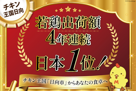 鶏肉 セット 宮崎県産若鶏むね肉4kg [エム・ティ・シー 宮崎県 日向市 452060670] 冷凍 個包装 小分け 国産 国内産 宮崎 鶏むね 鶏ムネ 若鶏