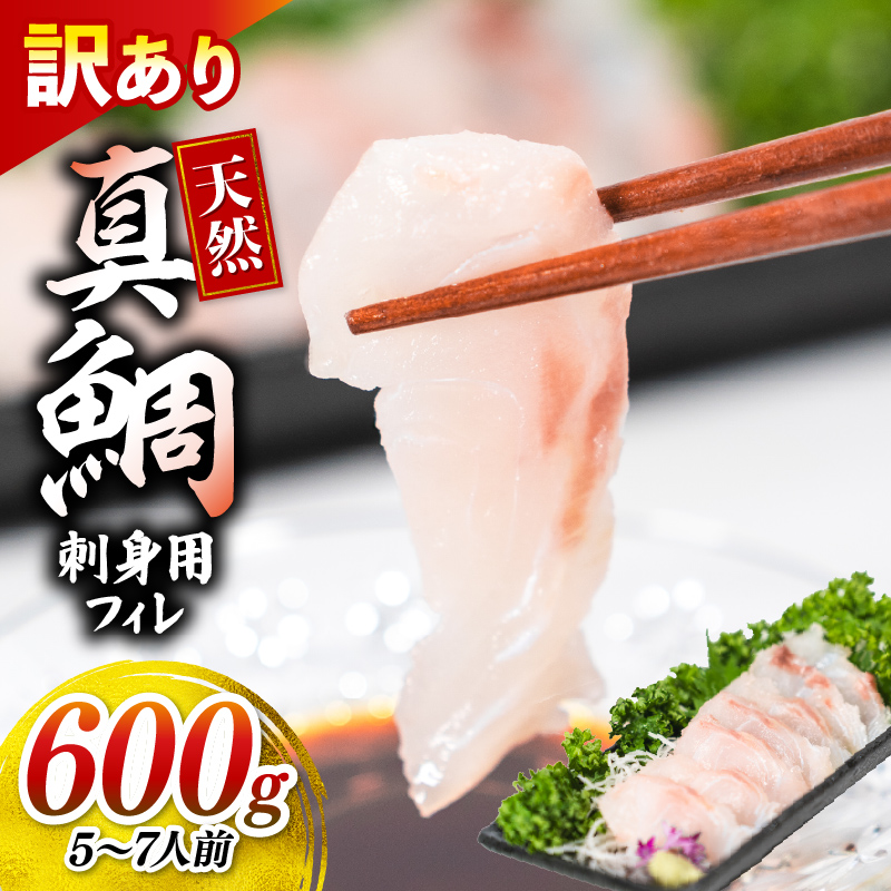 訳あり 真鯛 刺身 600g 天然 国産 フィレ