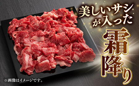 A5等級 飛騨牛 切り落とし 1kg(500g×2パック) ブランド牛 最高級 A5ランク 岐阜市 / 三心[ANGY015]