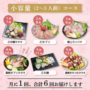 【限定500セット】 6回 定期便 鰤 ぶり ブリ 鰹 鰹タタキ かつおのタタキ 鯛 乙女鯛 タイ たい 勘八 カンパチ かんぱち 魚 海鮮 鮮魚 刺身 タタキ 少量 鮮度 少人数 人気 高知県 須崎