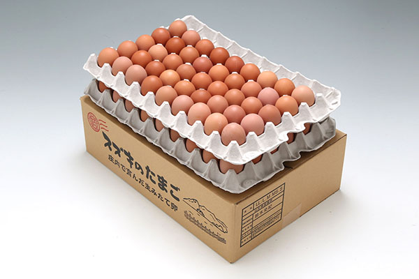 【定期便】地養卵 約5kg 80~90個×6ヶ月 MS~Lサイズ 毎月お届け 新鮮 卵 たまご 鶏卵 生卵 地養卵 赤たまご スズキのたまご【10月中旬発送】