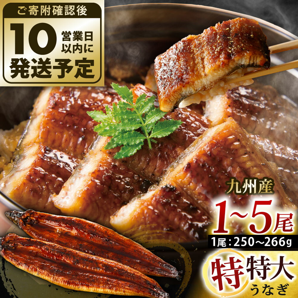 【ふるさと納税】九州産 うなぎ蒲焼 特特大 ＜選べる＞1尾/2尾/3尾/4尾/5尾 (1尾あたり250～266g) たれ・山椒付き 鰻 ウナギ 蒲焼き 特大 大きい 冷凍 国産 送料無料 鹿児島、宮崎、熊本等産うなぎ原料使用