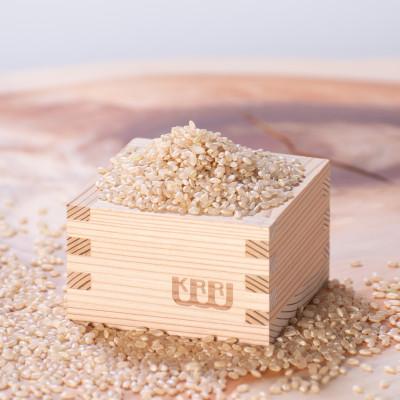 ふるさと納税 宇陀市 栽培期間中農薬不使用玄米麺　大和当帰葛入り3袋 |  | 01