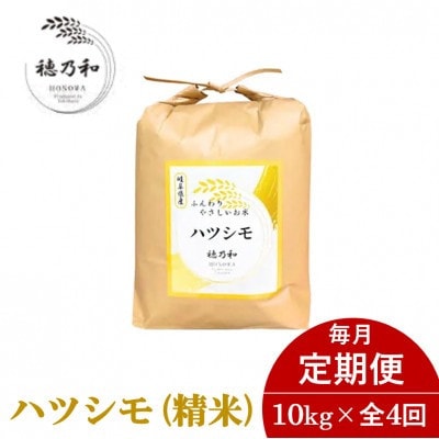 【発送月固定定期便】【先行予約】岐阜県産ハツシモ(精米)10kg全4回【配送不可地域：離島】【4067848】